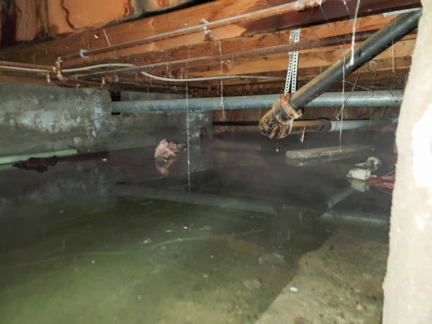  Warrington, FL Water damage restoration Pros