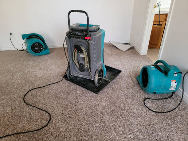 Best Water damage restoration company  in Warrington, FL