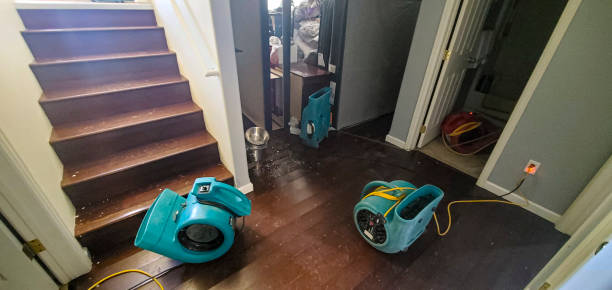 Best Flooded house restoration  in Warrington, FL