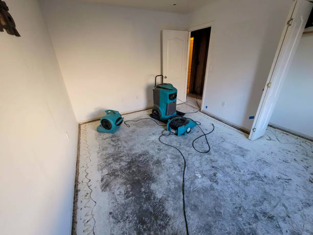 Best Water damage restoration company  in Warrington, FL