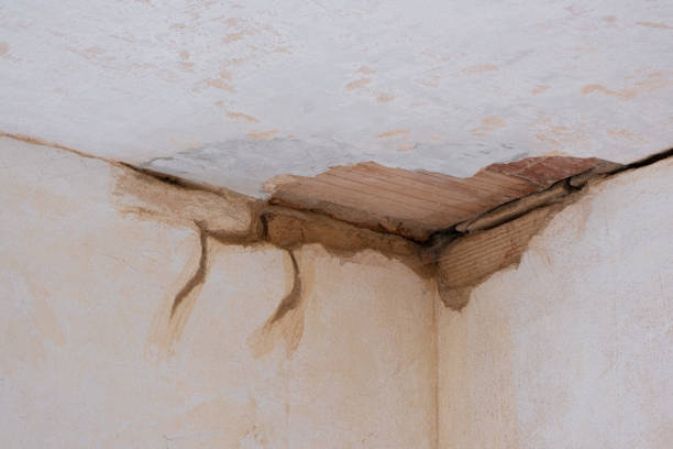Best Water damage restoration insurance claims  in Warrington, FL