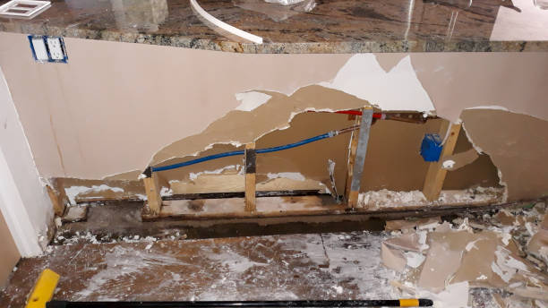 Best Water damage repair service  in Warrington, FL