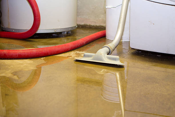 Best Flood damage cleanup  in Warrington, FL