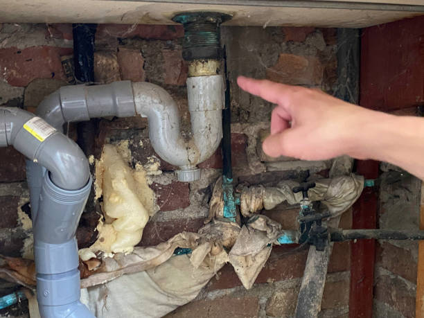 Best Commercial water damage restoration  in Warrington, FL