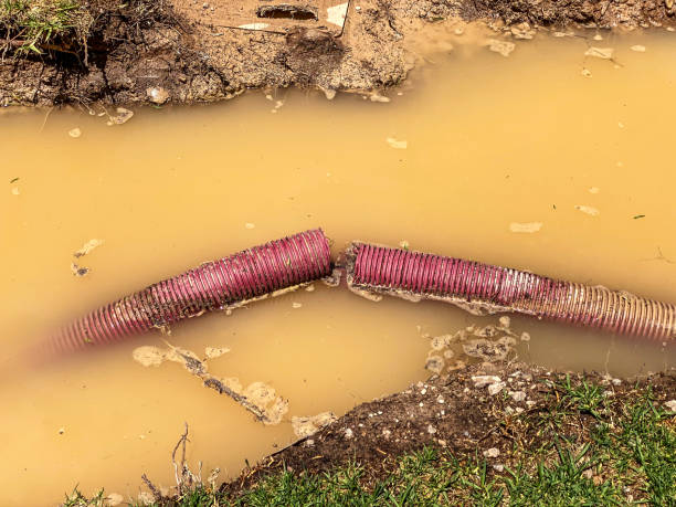 Best Water damage cleanup near me  in Warrington, FL