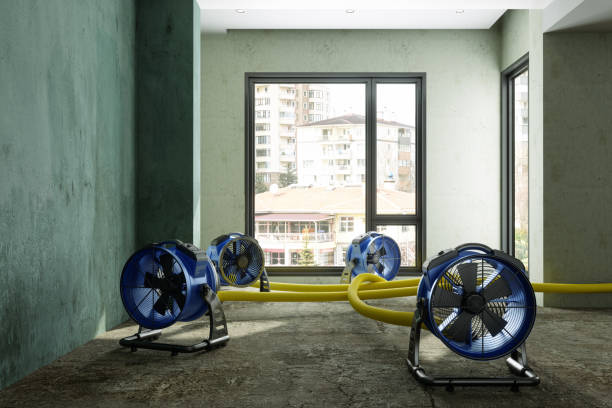 Best Local water damage restoration  in Warrington, FL