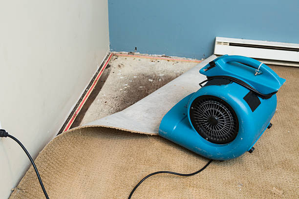 Best Ceiling water damage repair  in Warrington, FL
